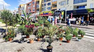 Cap d'Agde - Avant-Ports - 2 Juin 2024 - 28